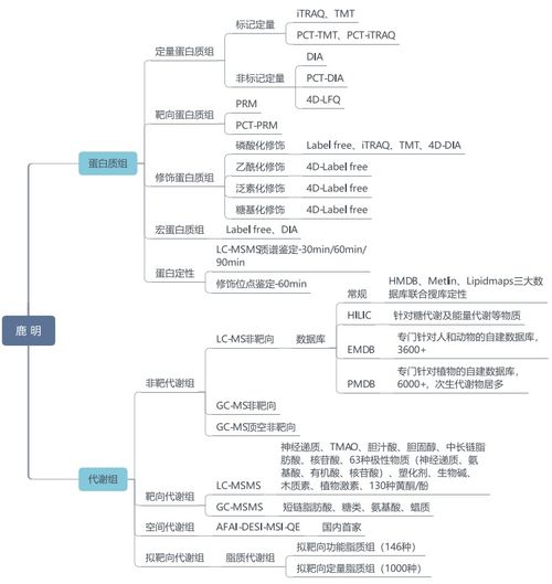 《7福转职流攻略：再钢一把通关秘籍》