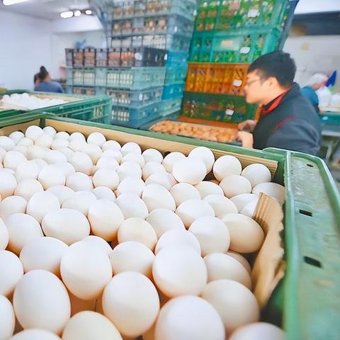 茶叶蛋大冒险镜中世界32关攻略：轻松通关秘籍大公开