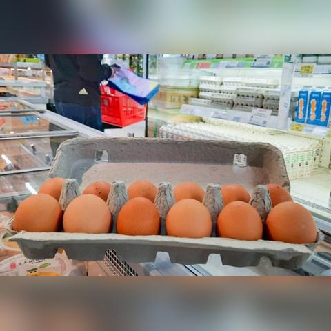 茶叶蛋大冒险镜中世界32关攻略：轻松通关秘籍大公开