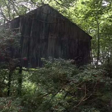 《揭秘热门探索游戏：盘点玩家最爱探险之旅》