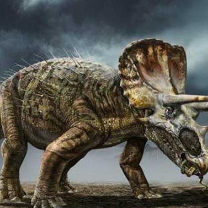 生存游戏盘点：热门精选，哪款才是你的菜？