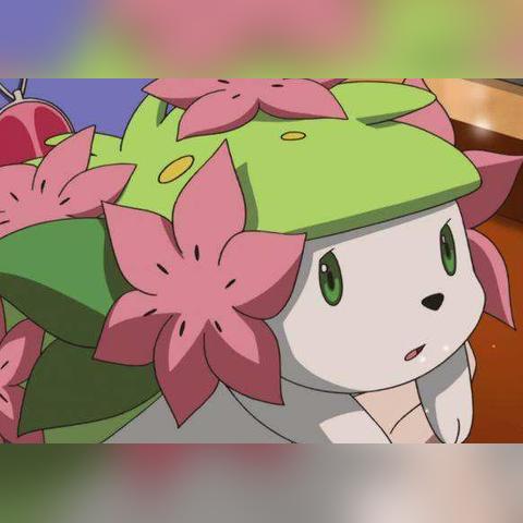 幻塔刺猬番茄食材攻略：高效获取秘籍大公开