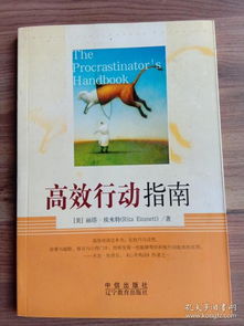 四海兄弟故乡第纳尔攻略：高效使用指南