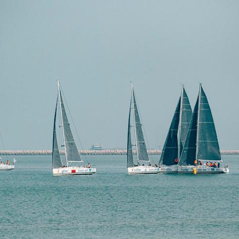 《仙境传说新启航零氪党攻略：职业选择全解析》