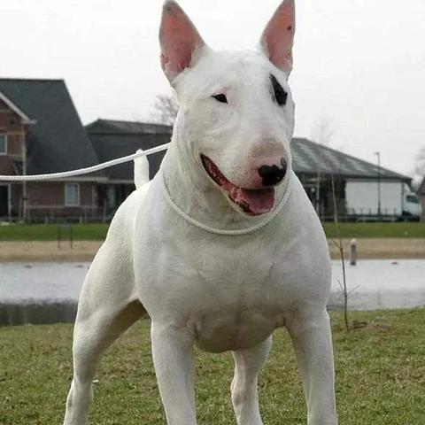 十大耐玩角色自定义游戏，盘点最值得尝试的排行榜