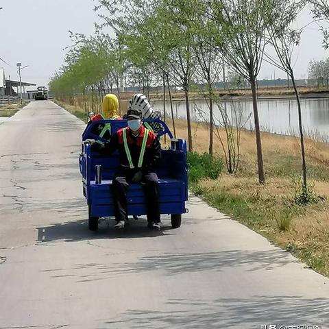 《冲就完事2》好评解压新篇章：名作续集亮点抢先看