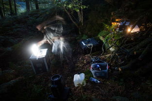 2024年度放松游戏盘点：盘点最适合休闲时光的十大游戏