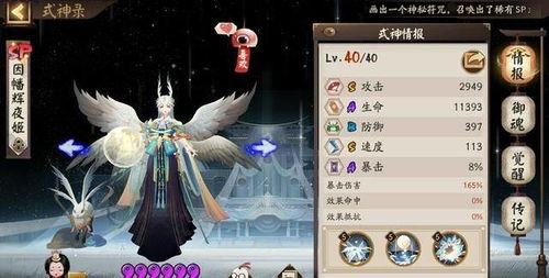 阴阳师SP缘技能深度揭秘：独家解析！