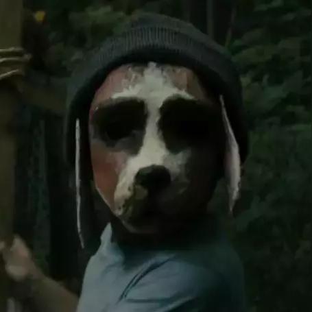 《爆款鸟游戏盘点：热门下载排行，哪款最吸引你？》