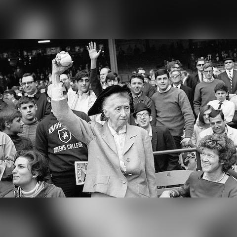 摩尔庄园手游石子路攻略：独家购买秘籍大公开