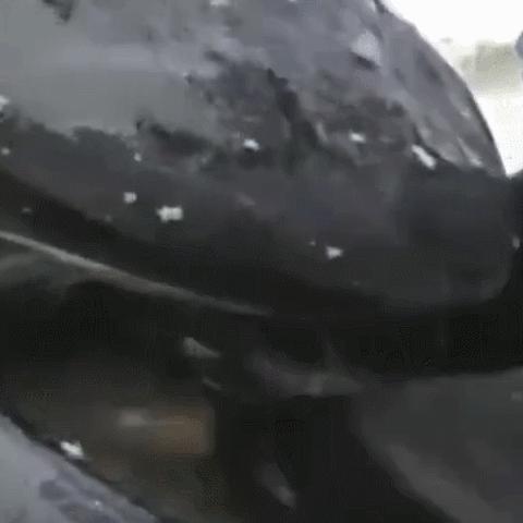 《死亡搁浅2》安全屋最佳放置攻略：揭秘隐藏位置！