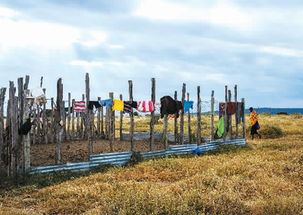 国庆长假引东非草原交通瘫痪，网友热议：相聚高楼，散布全球各地