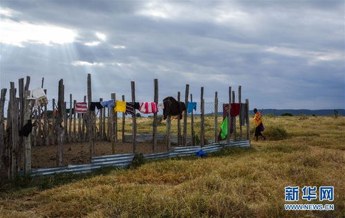 国庆长假引东非草原交通瘫痪，网友热议：相聚高楼，散布全球各地