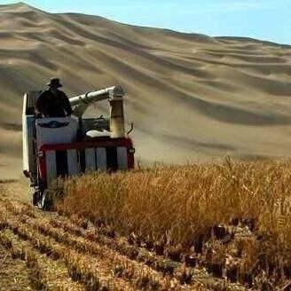 《红色沙漠》震撼实机预告：天降神力击退敌人，体验全新战斗快感