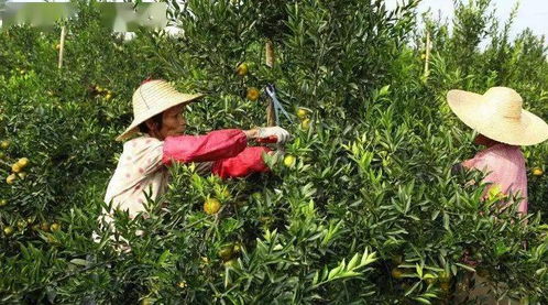 《铁拳8》性感辣妹预告曝光！独家解析12月5日黑皮新玩法