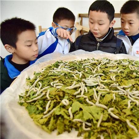 《消逝光芒》渔夫岛安全塔位置揭秘！渔夫岛攻略指南必看