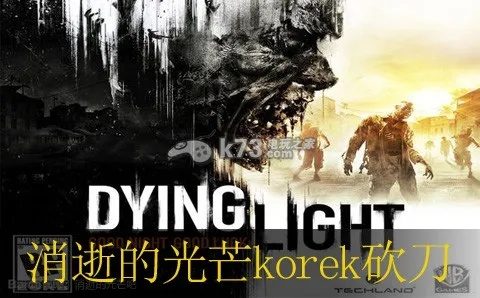 《消逝光芒》加固斩刀攻略：高效获取方法大揭秘！