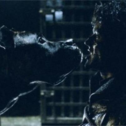 《生化危机4》重制版残忍骑士任务攻略：高效完成技巧揭秘