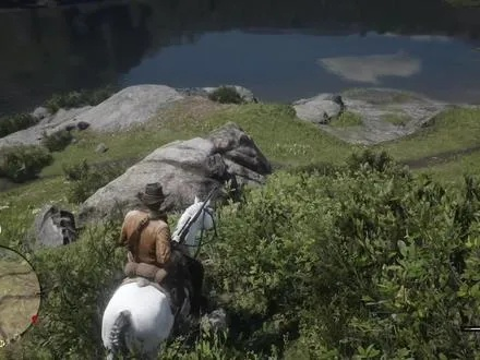 荒野大镖客2捕猎大师7挑战攻略：高效捕猎技巧揭秘