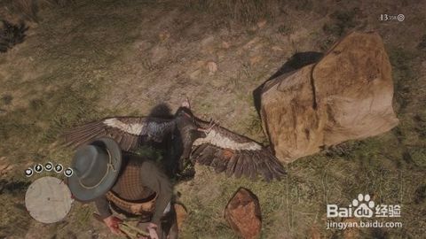 荒野大镖客2捕猎大师4挑战攻略：高效捕猎技巧揭秘