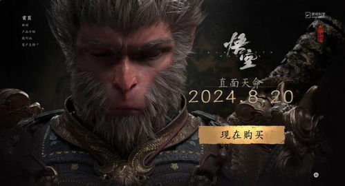 《黑神话》央视重磅曝光，xQc领衔直播，揭秘游戏新境界！