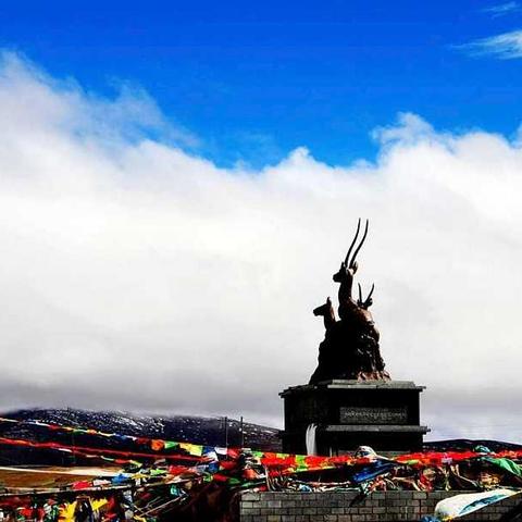 1400年前古洞藏熊猫化石，亚洲最长洞穴揭秘历史秘密