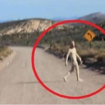 《数码宝贝时空异客》天才攻略：揭秘疯子玩家的独门秘籍