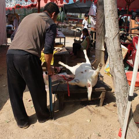 《羊蹄山之魂》武器全收集攻略，大师任务秘籍大揭秘