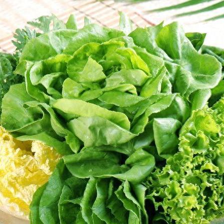 秋季作物详览：揭秘《风之繁华集市》价格与生长周期攻略