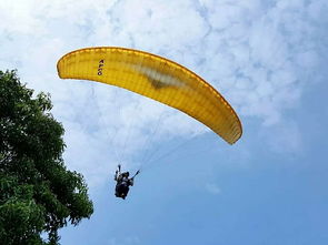 风之繁华集市滑翔伞技巧揭秘：轻松翱翔新体验