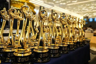 《四海兄弟故乡》奖杯攻略：全收集品秘籍汇总解析