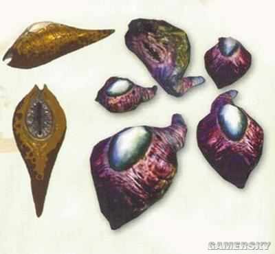 水蛭头罩属性解析：揭秘高效获取攻略