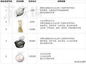 河蚌头罩属性解析与独特获取途径全揭秘