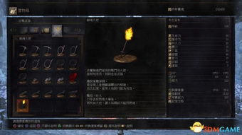 沙漠星泪探秘：剑星尼尔DLC全收集攻略揭秘