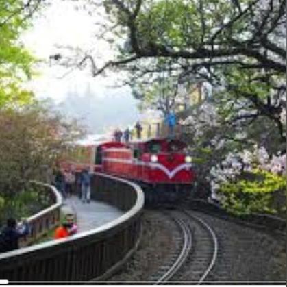 《崩坏星穹铁道》风堇深度培养攻略：全面解析机制、装备与最佳配队策略