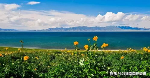 《鸣潮》夏空突破材料全揭秘，全新价值攻略解析