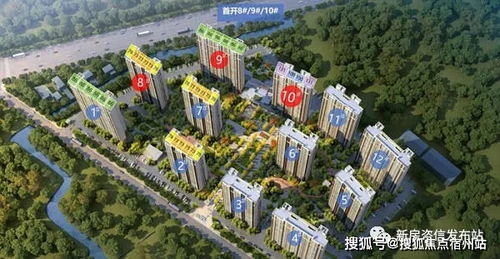 龙口德卡组攻略：深度解析全新策略与价值提升