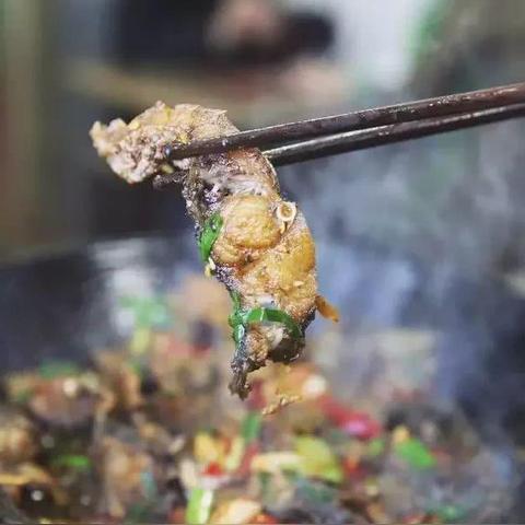 手绢鱼获取攻略：揭秘高效获取新技巧