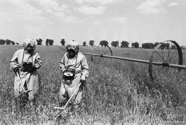 切尔诺贝利之心：探索罂粟田圣像新奥秘