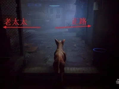 《野狗子》深度攻略：全探索记忆碎片奇才收集秘籍大揭秘