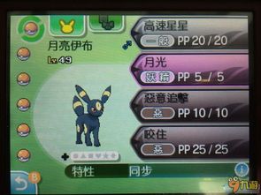 太阳伊布独门秘技大揭秘，技能解析新视角