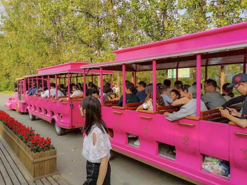 三色彩虹DK卡组攻略：揭秘全新构筑技巧与价值提升