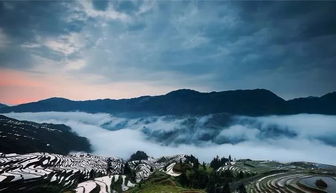 沙原秘境探秘：天堑荒野生态新篇章