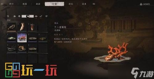 《黑神话悟空》沙国王战法解析，沙二郎精魄高效获取攻略揭秘