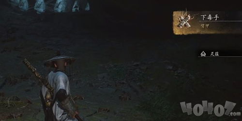 《黑神话悟空》独门秘技揭秘：下毒手获取攻略大公开