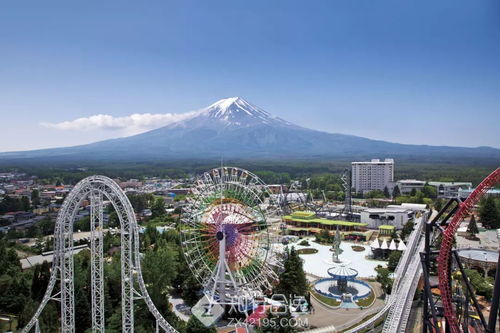 《心动小镇》揭秘：沙滩乐园第五天淡紫鸭窝新位置揭晓