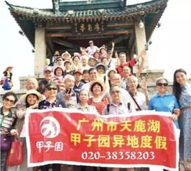 赛博养老新潮流，提前体验“让我退休”生活