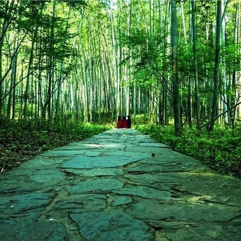 月华如愿摆摊秘籍，轻松解锁《鸣潮》1.2月活动宝藏