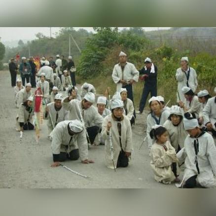 《七日世界》战斗料理秘籍：全食谱攻略与效果解析新解