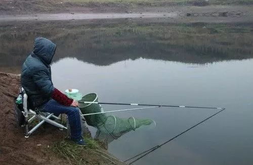 七日世界钓鱼攻略：高效技巧揭秘，新手必学！
